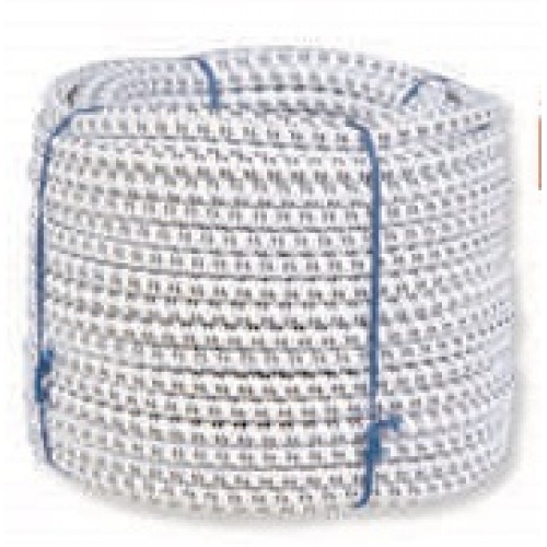 Electric Bungee Cord