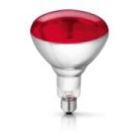 Philips Infrared Bulb 250W
