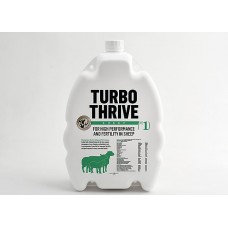 Turbo Thrive Sheep