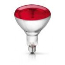 Philips Infrared Bulb 250W