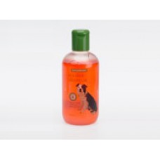 Tea Tree Shampoo